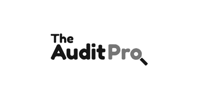 Audit Pro